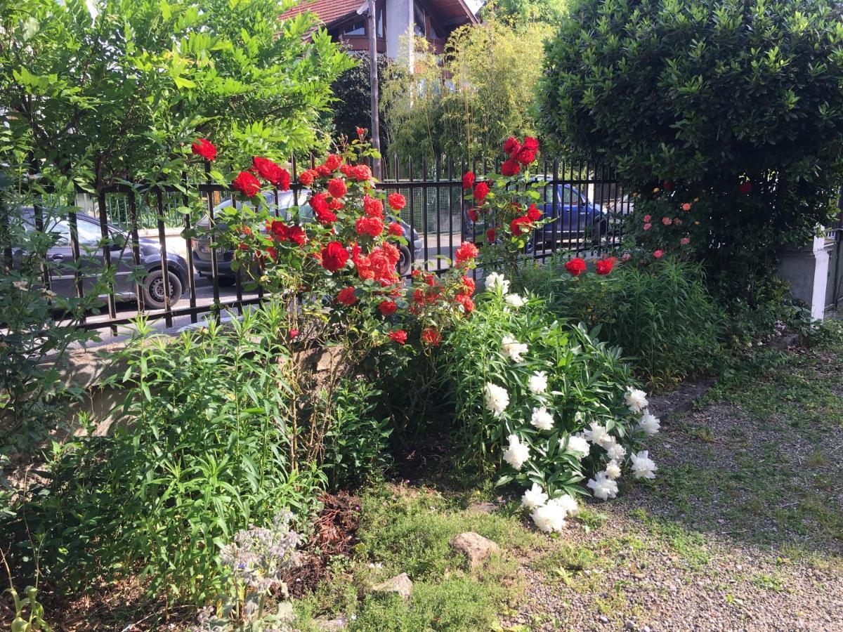 Le Catalpa - Centre Ville, Jardin & Parking! Annecy Esterno foto